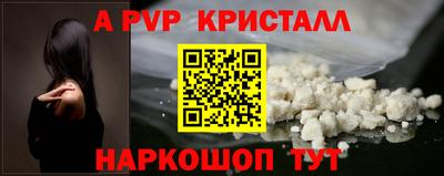 jwh Кингисепп