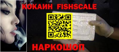 jwh Кингисепп