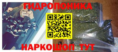 гидропоника Кинель