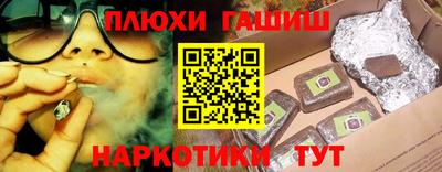jwh Кингисепп